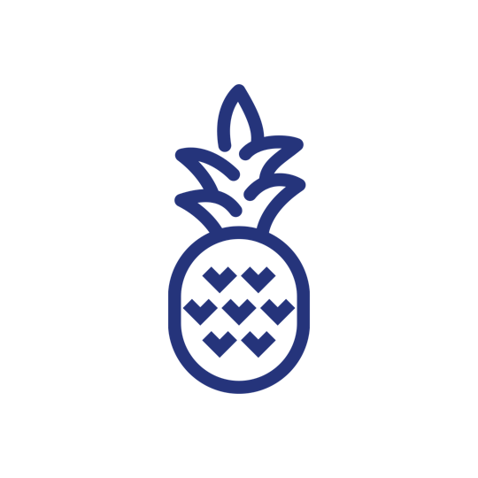 Pineapple icon