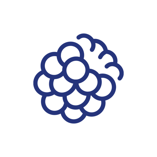 Raspberry icon