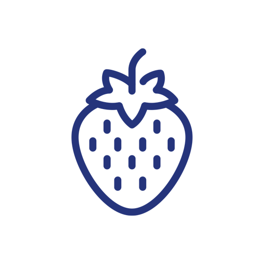 Strawberry icon